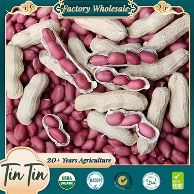 New Corp Red Skin Peanuts Bulk Cheap