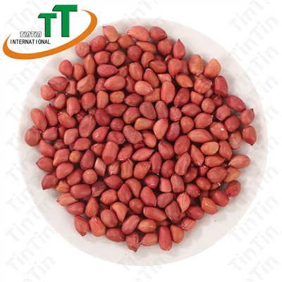 Red Skin Peanuts Kernels Best Price Raw Peanuts Without Shell High Quality Red Skin Peanuts Kernels Best Price Raw Peanuts Without Shell High Quality